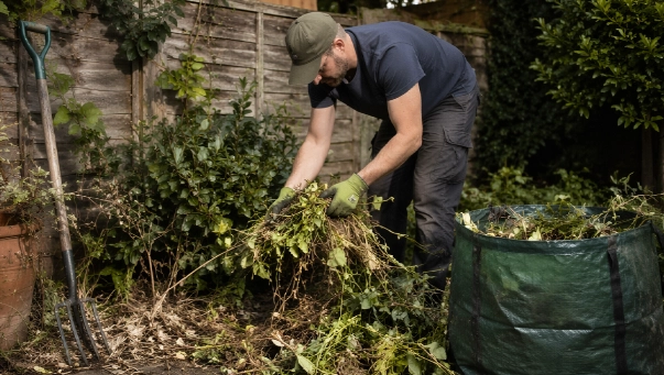 Garden Clearance